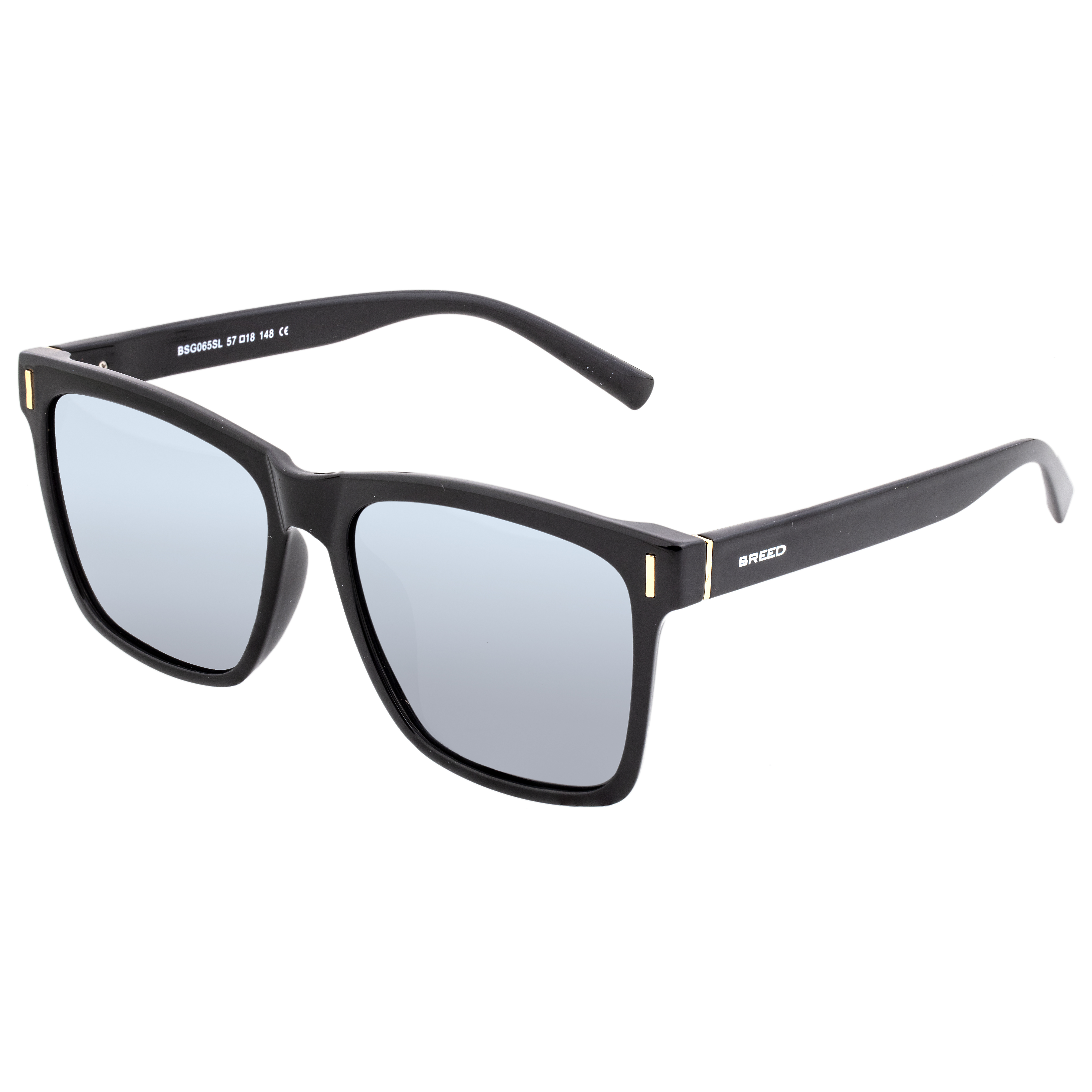 Breed Mens Pictor Polarized Sunglasses - Black - One Size