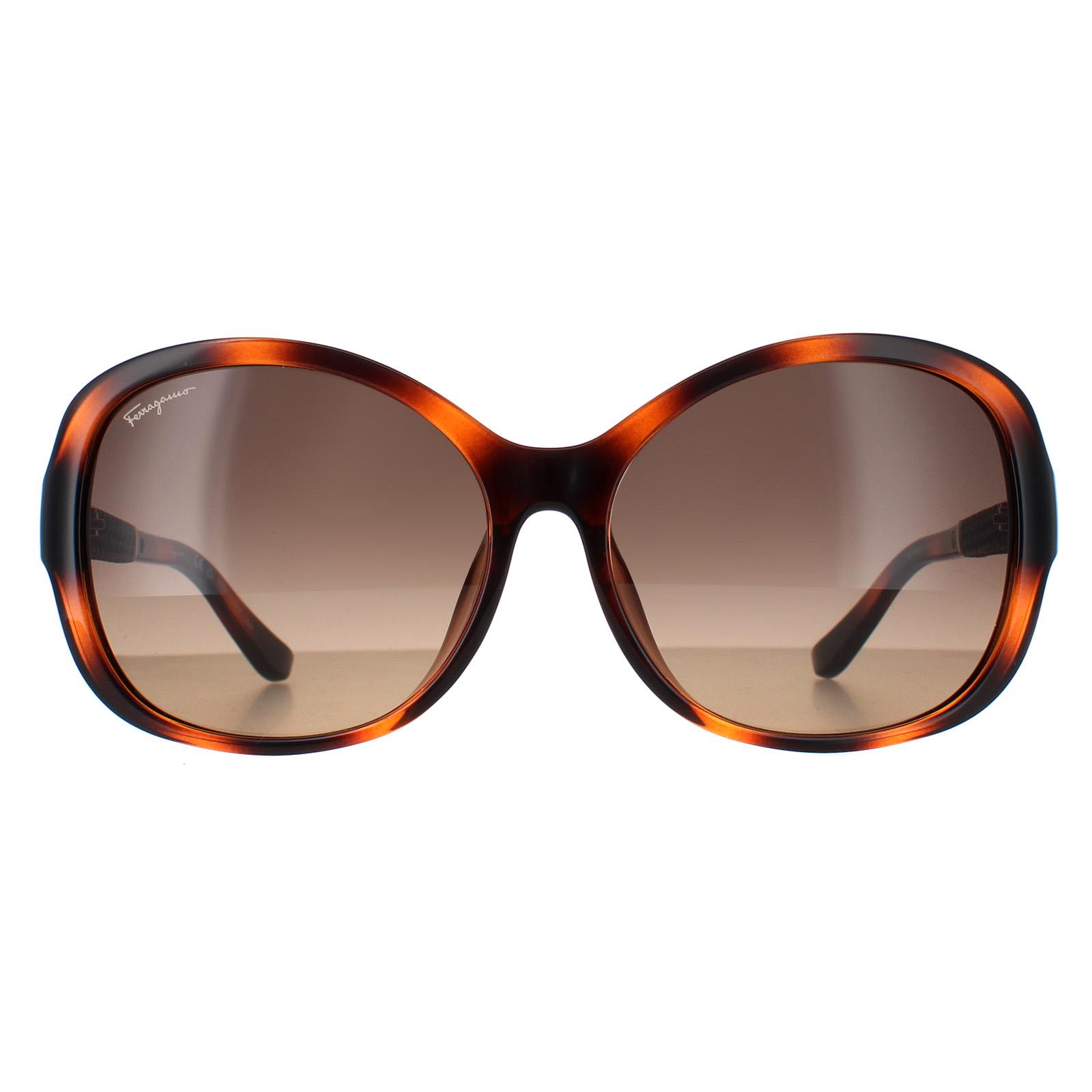 Salvatore Ferragamo Butterfly Womens Tortoise Brown Gradient SF744SLA - One Size