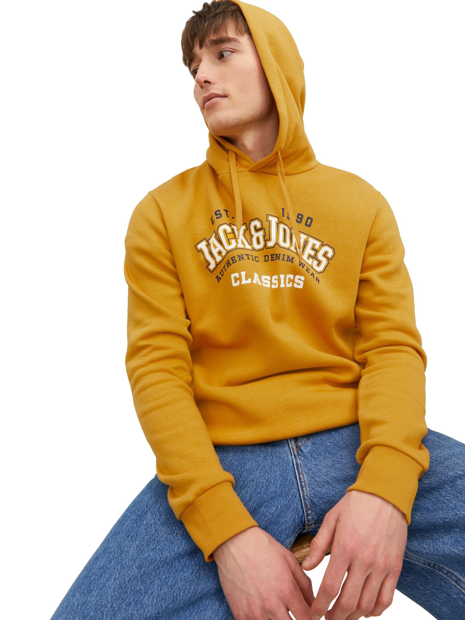 Thumbnail - Jack & Jones Sweatshirt mit Kapuze