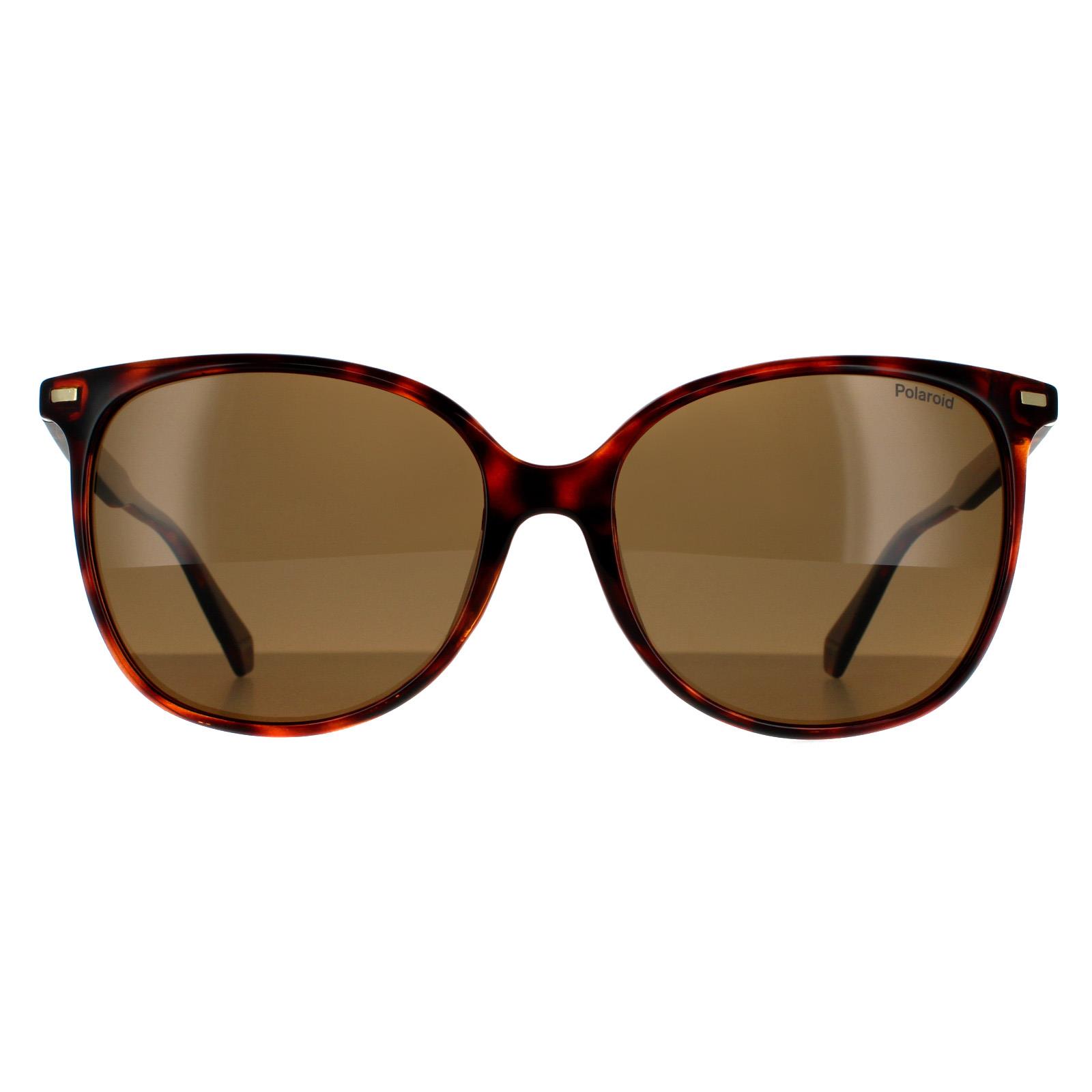 Thumbnail - Polaroid Cat Eye Womens Dark Havana Bronze polarisierte Sonnenbrille