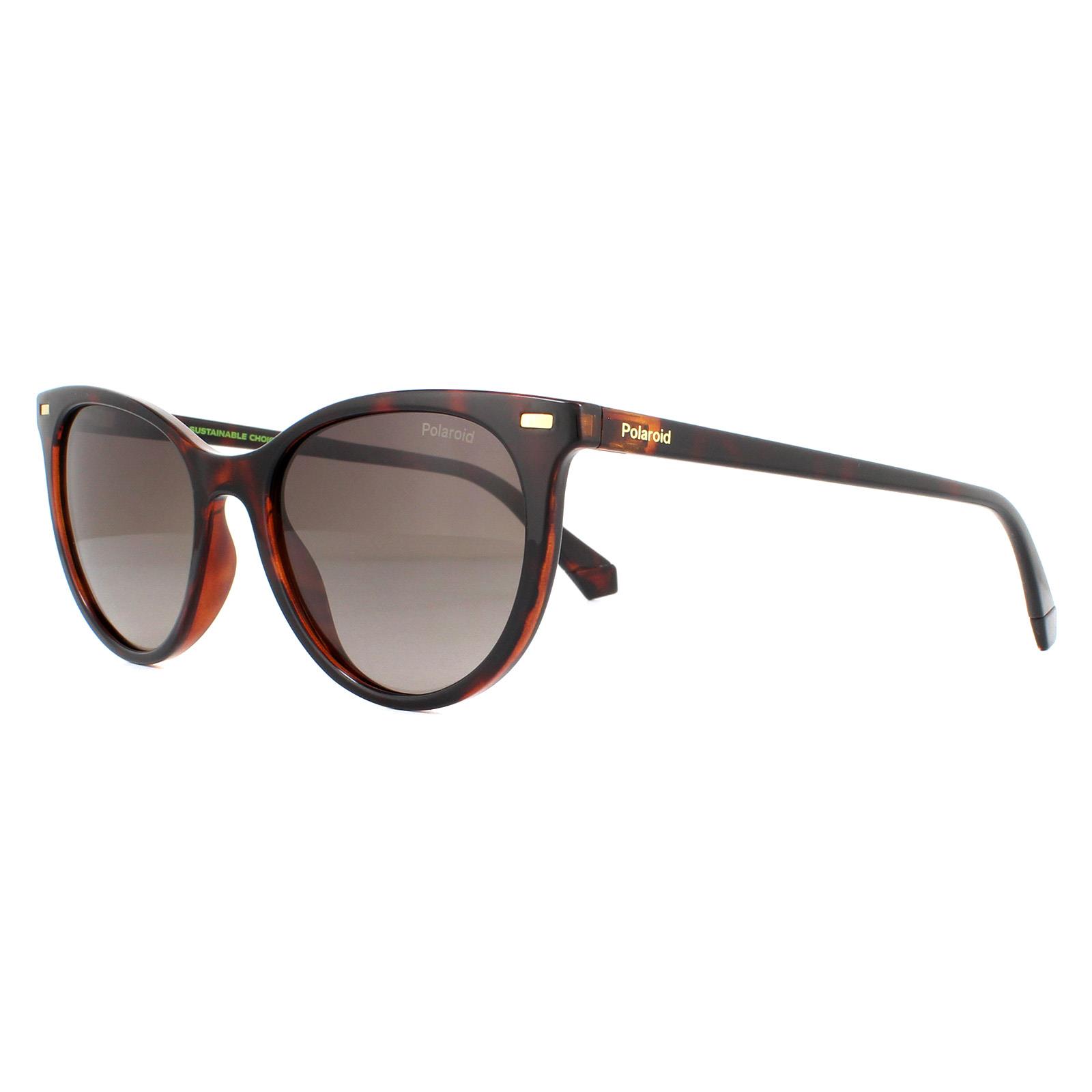 Polaroid Cat Eye Womens Havana Brown Gradient Polariserade solglasögon dam – bild 2