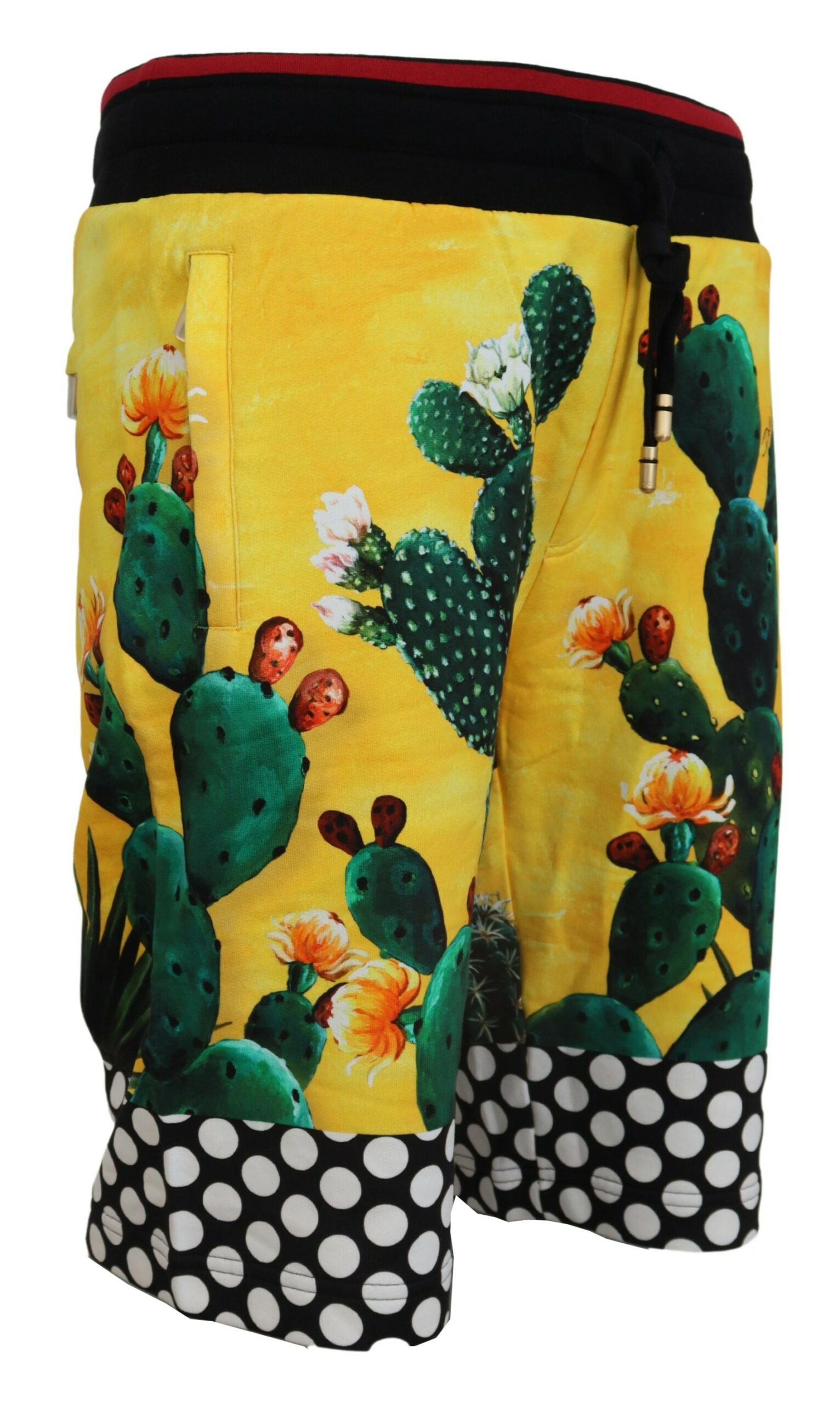 Dolce&Gabbana Kaktustryck Bomullssvett Shorts för Herrar – bild 2
