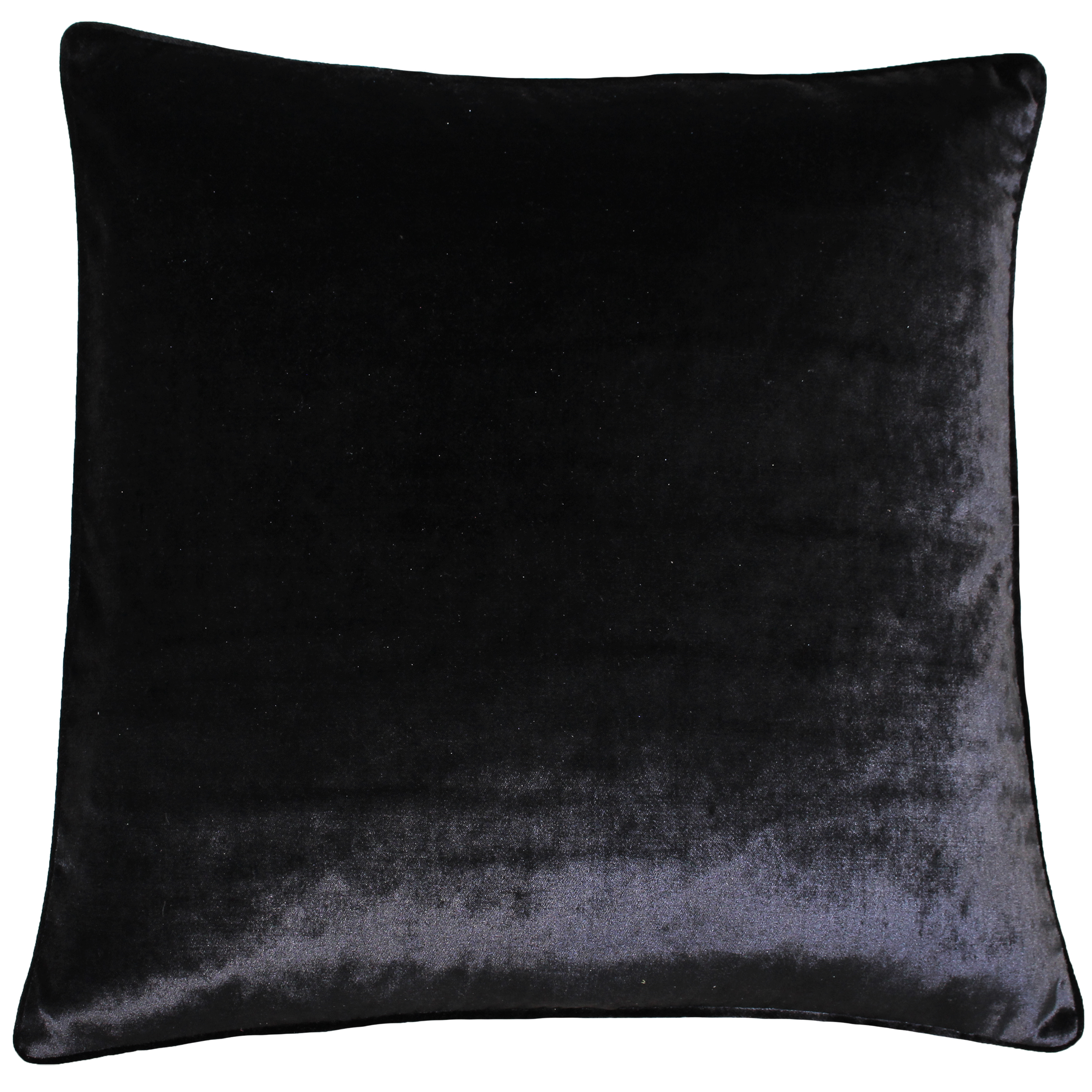 Paoletti Luxe Velvet 55x55 Poly Cushion Blac - Black - One Size